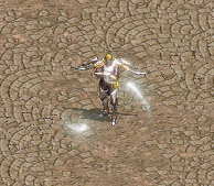 妖精 (非火妖)轉生變身