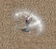 妖精 (非火妖)轉生變身