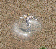 妖精 (非火妖)轉生變身